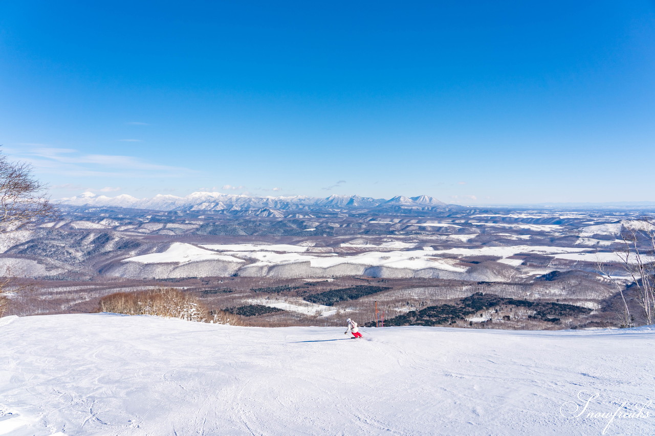 十勝サホロリゾート 快晴の空の下、極上の粉雪クルージングバーンを心ゆくまで味わう１日(*^^*)